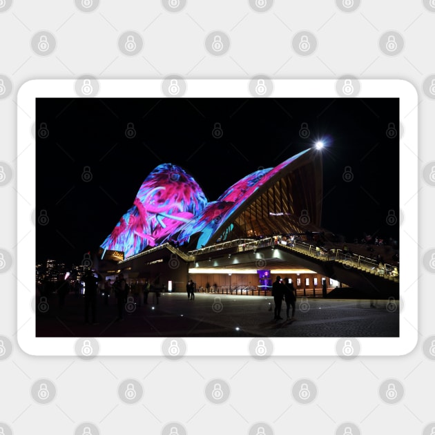 Sydney Opera House during the Vivid Festival Sticker by VickiWalsh